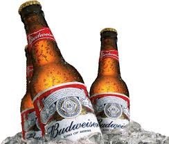 Budweiser 330ml