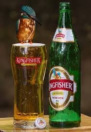 Kingfisher Premium Beer 330ml